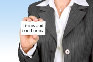 Terms and conditions for web seed design's website